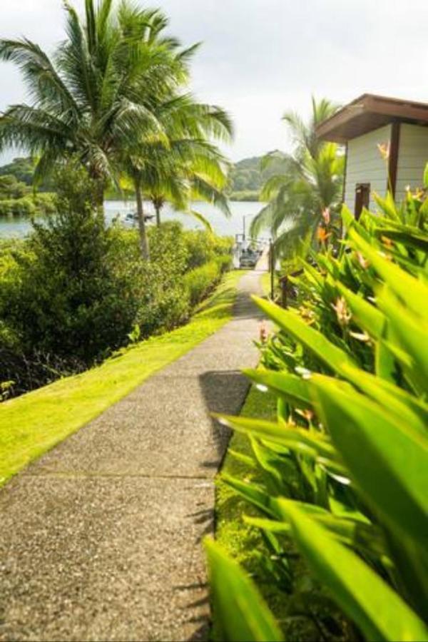Bed and Breakfast Casa Marlin Бокас-дель-Торо Экстерьер фото