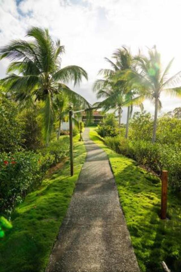 Bed and Breakfast Casa Marlin Бокас-дель-Торо Экстерьер фото